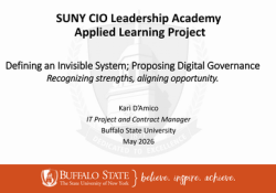 Defining an Invisible System; Proposing Digital Governance Recognizing strengths, aligning opportunity.