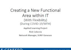 Creating a New Functional Area within IT