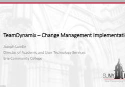 TeamDynamix- Change Management Implementation